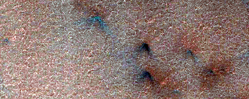 Spiders on South Polar Layered Deposits