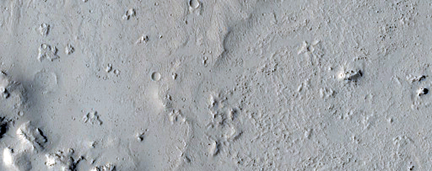 Enigmatic Terrain in Elysium Planitia