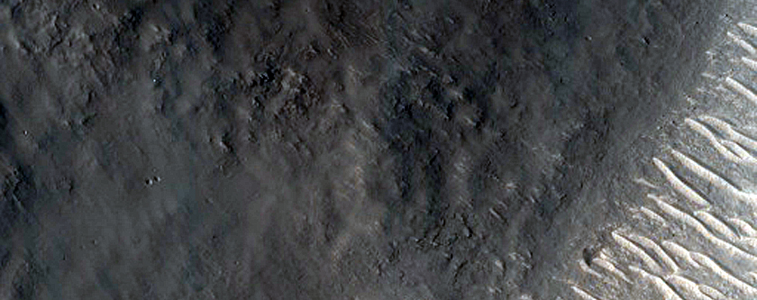 Terrain Sample in Amenthes Fossae