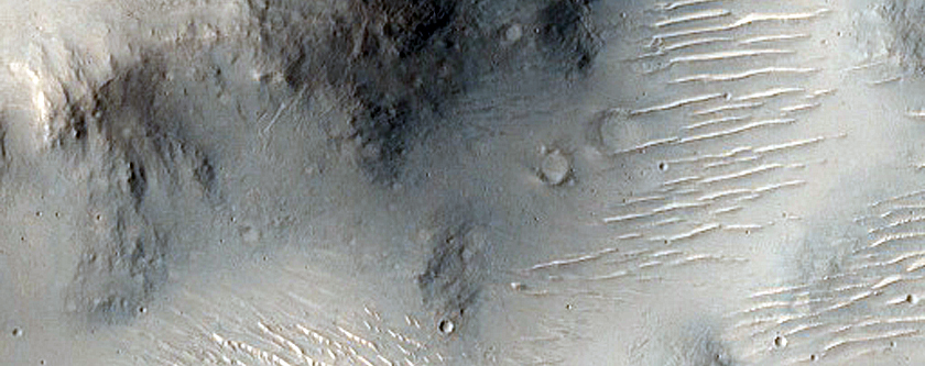 Terrain Sample