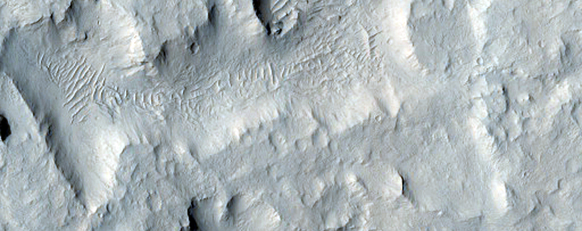 Network of Sinuous Ridges in Aeolis Dorsa