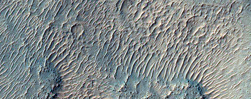 Gullies on Crater and Graben