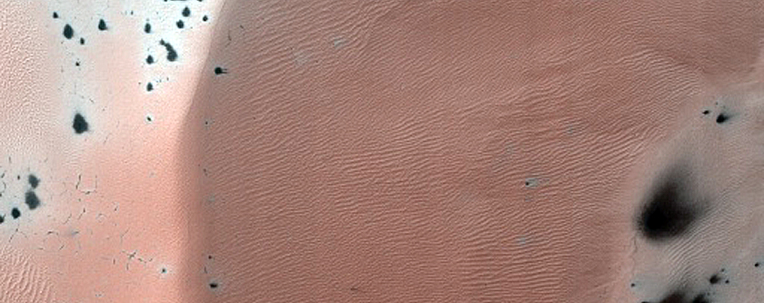 Dune with Seasonally Persistent Light-Toned Features