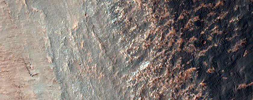 Well-Exposed and Diverse Section of Nirgal Vallis