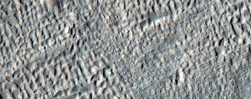 Gullies on Pole-Facing Slope of Ice-Filled Crater