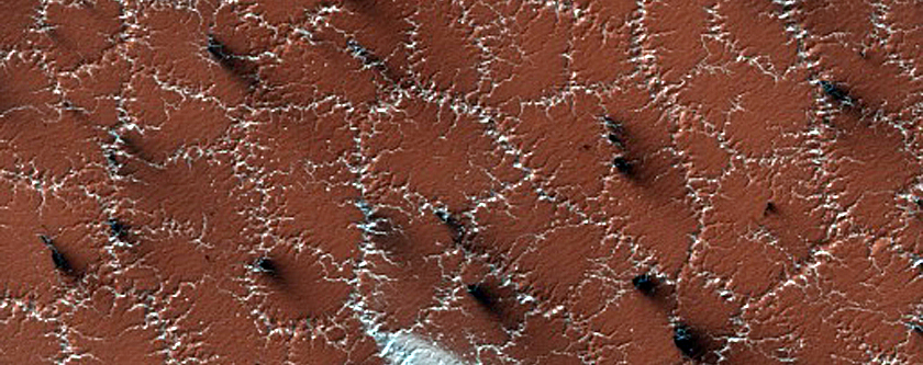 Bright and Dark Fans on Patterned Ground Dubbed Troy