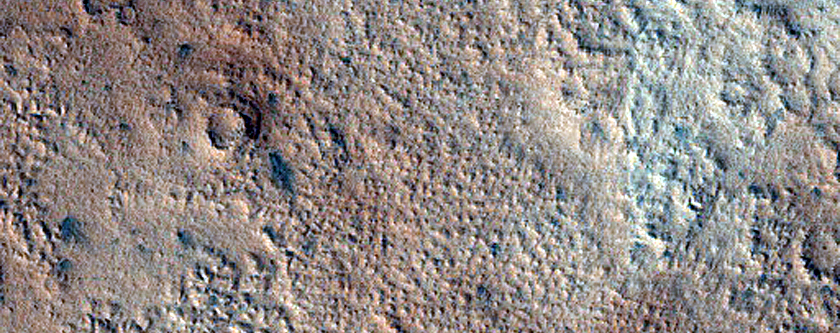 Amazonis Planitia Surface