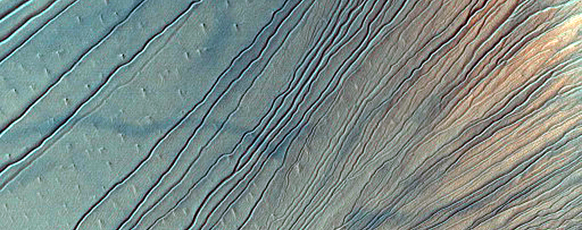 Russell Crater Dune Gullies