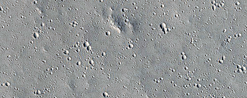 Elysium Planitia Secondary Crater Scours