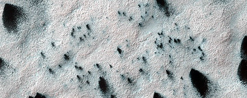 Site Dubbed Ithaca