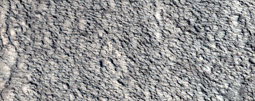 Tempe Terra