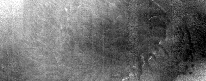 Dune Monitoring in Crater
