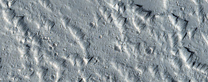 Monitoring New Impact Site