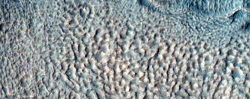 Gully Monitoring