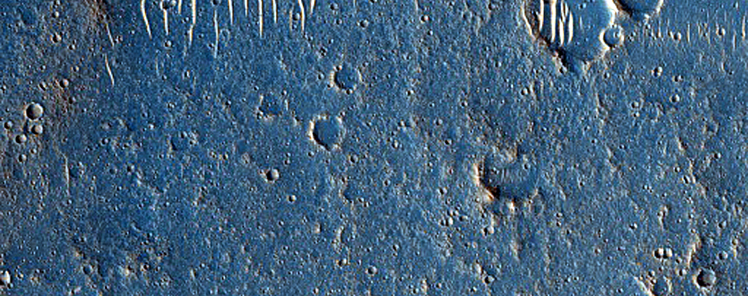 Terrain Sample
