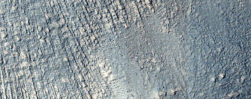 Gullies in Southern Mid-Latitude Crater