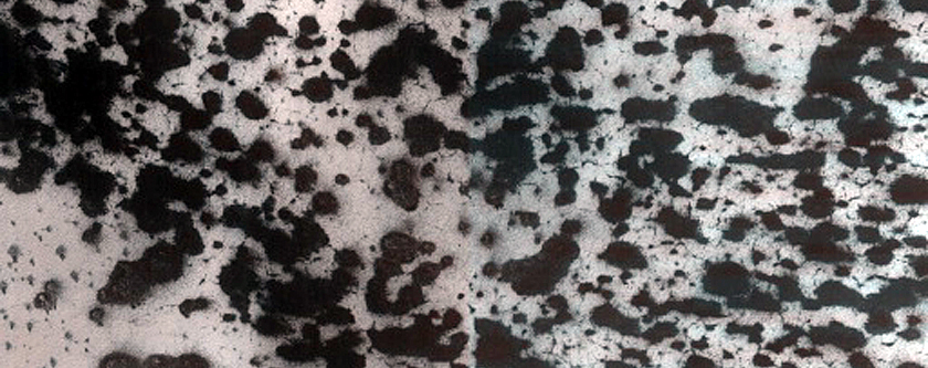Spider Terrain
