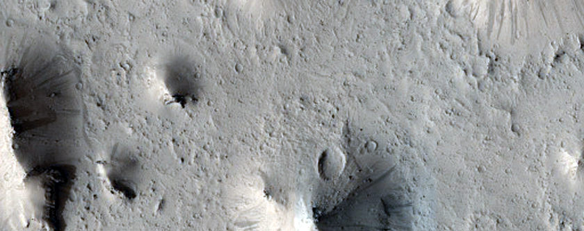 Crater in Southern Elysium Planitia with Hummocky Fill