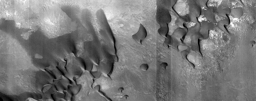 Dune Monitoring in Davies Crater