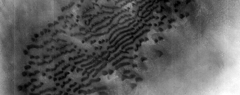 Dune Monitoring in Crater
