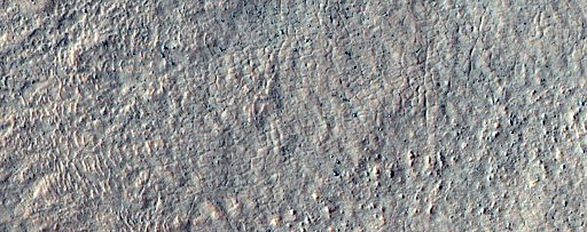Gullies in Crater West of Argyre Planitia