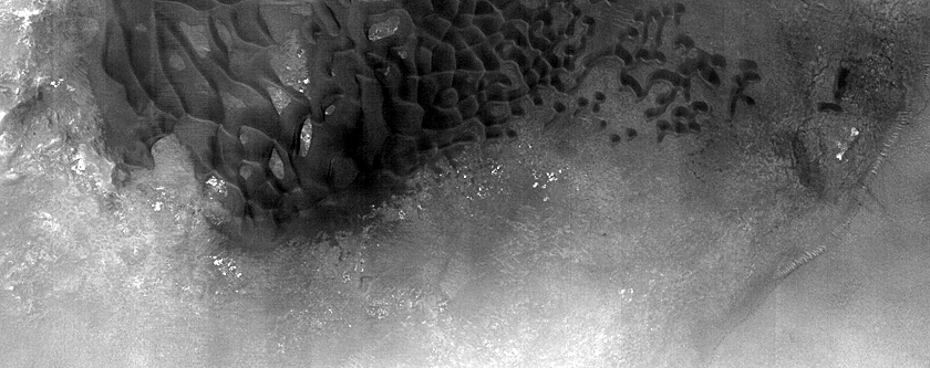 Dune Monitoring in Crater