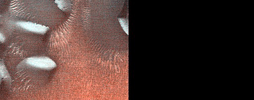 Dune Monitoring in Crater