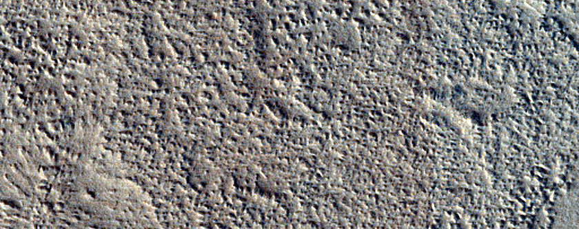 Amazonis Planitia