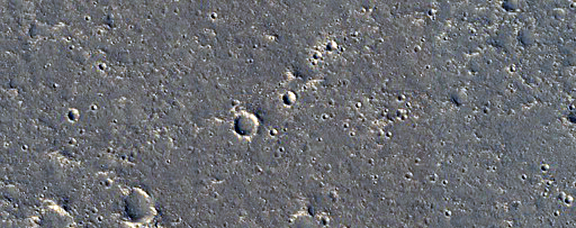 Elysium Planitia