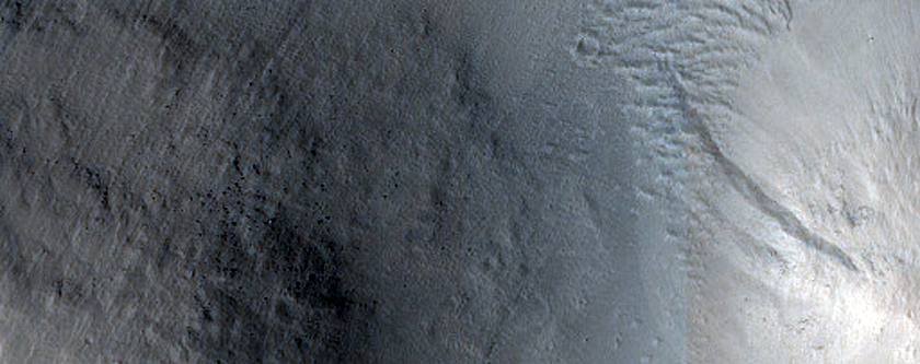 Lucus Planum