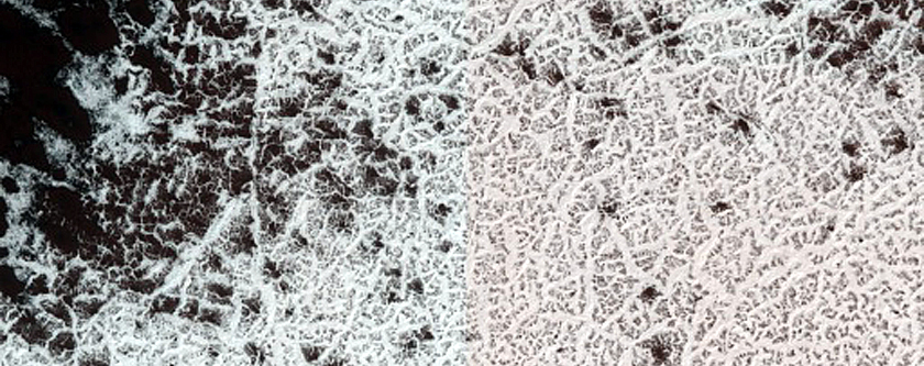 New Spider Terrain Development