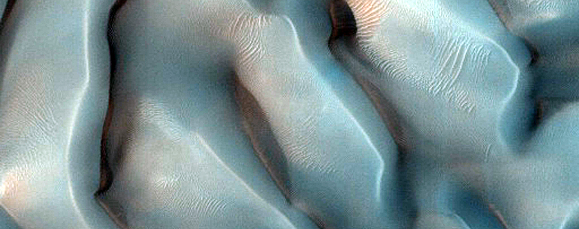 South Portion of USGS Dune Database Entry Number 0465-417