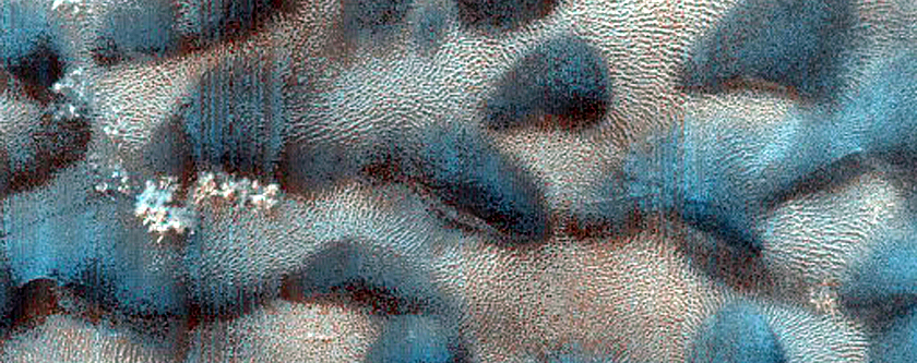 Dune Monitoring in Crater