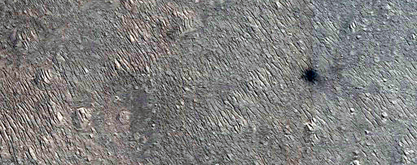 Candidate Recent Impact Site