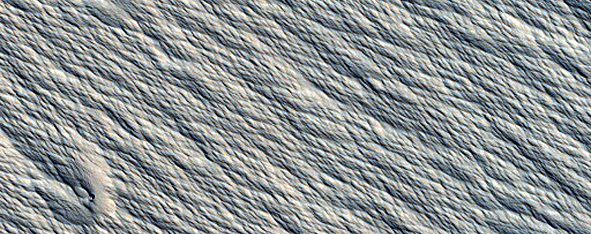 Medusae Sulci