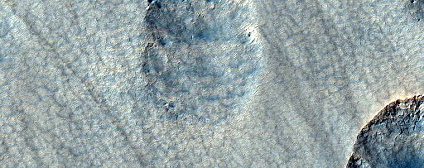 Pitted and Scalloped Terrain