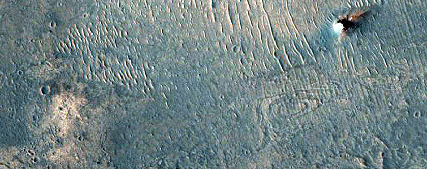 Landslide Deposit in West Candor Chasma
