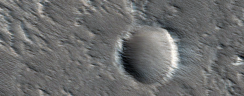 Regolith Textures in Ascraeus Mons