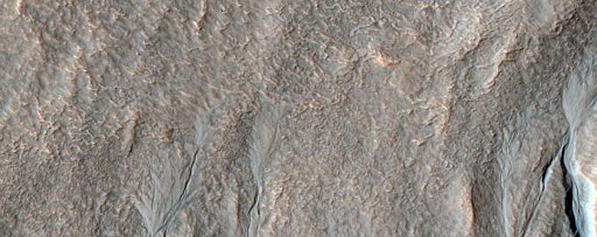 Gully Monitoring