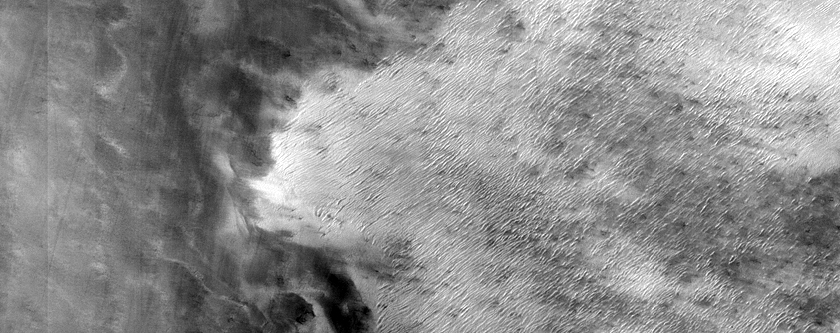South Polar Region Cryptic Terrain Margin Monitoring in Reynolds Crater