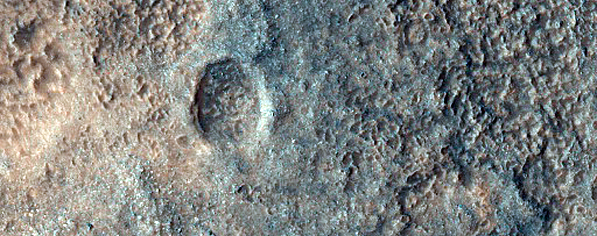 Monitoring Dust Devil Tracks