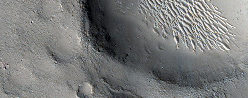 Candidate Recent Impact Site