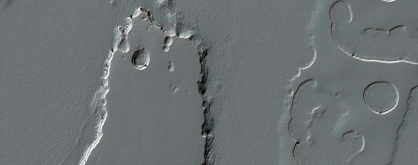 South Polar Residual Cap Site