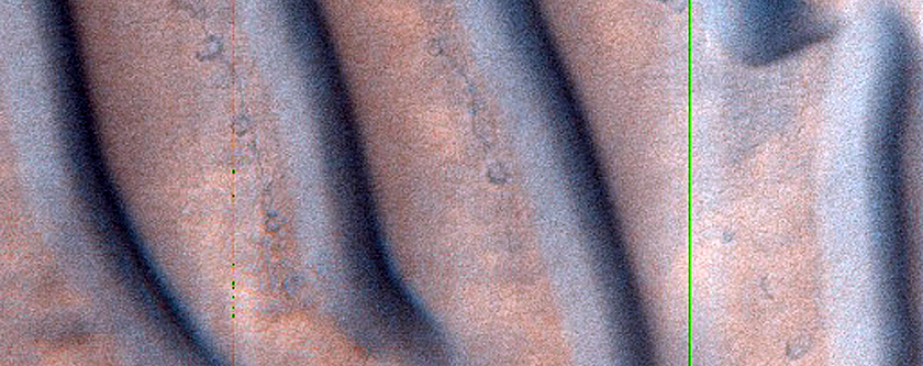 USGS Dune Database Entry Number 1363-696