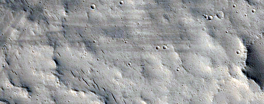 Tempe Terra