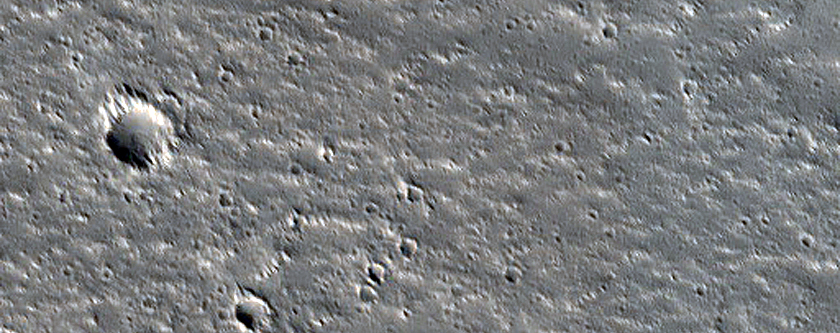 Terrain Sample