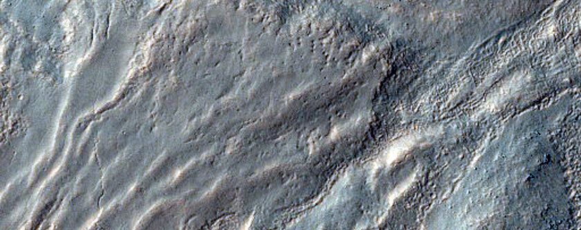 Possible Gully in Southern Mid-Latitude Crater