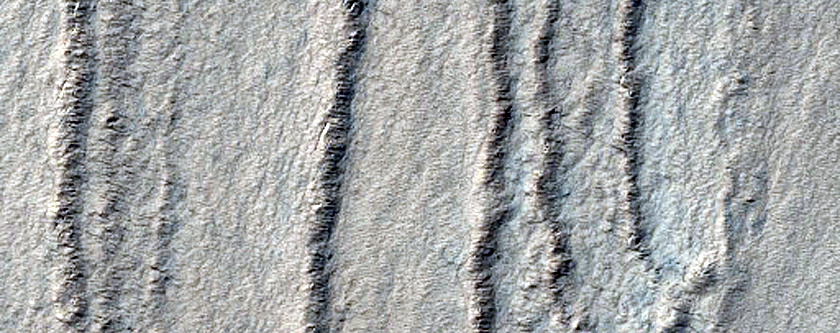 Layers and Spiders on South Polar Layered Deposits Scarp