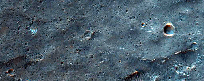 Tyrrhenus Labyrinthus