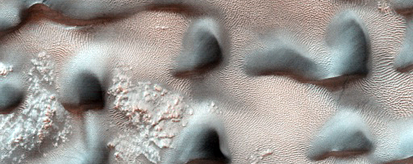 Dune Monitoring in Crater